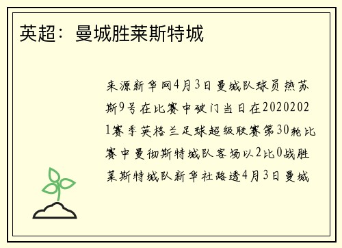 英超：曼城胜莱斯特城