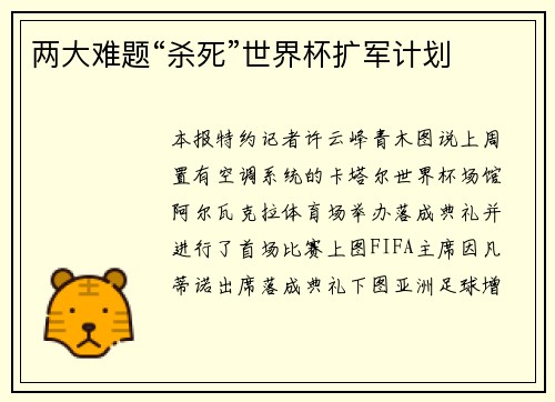 两大难题“杀死”世界杯扩军计划